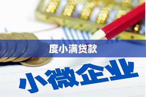 连云港度小满贷款