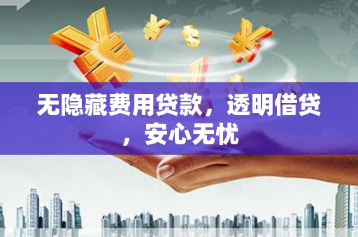 连云港无隐藏费用贷款，透明借贷，安心无忧