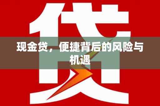 连云港现金贷，便捷背后的风险与机遇