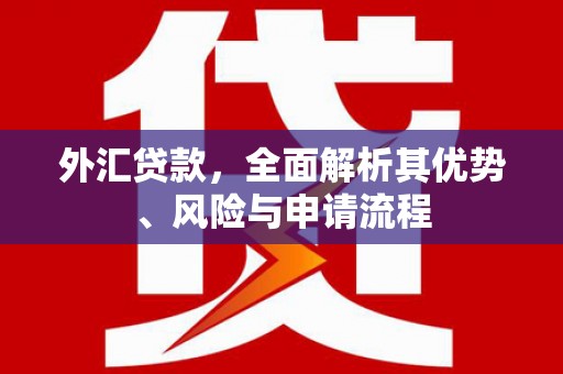 连云港外汇贷款，全面解析其优势、风险与申请流程