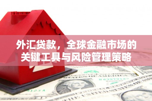 连云港外汇贷款，全球金融市场的关键工具与风险管理策略