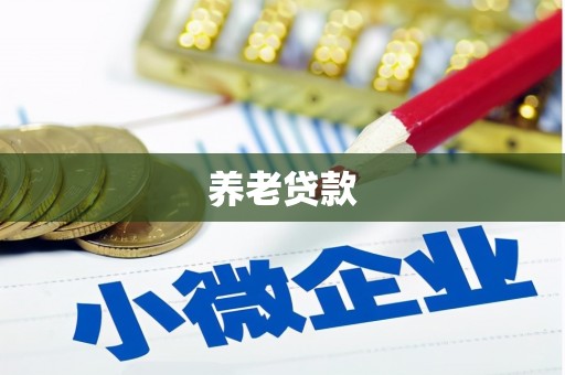 连云港养老贷款