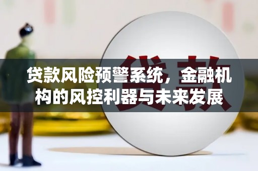 连云港贷款风险预警系统，金融机构的风控利器与未来发展