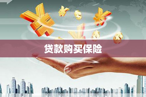 连云港贷款购买保险