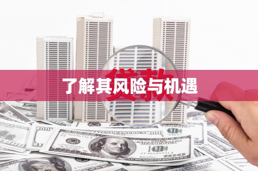 连云港了解其风险与机遇