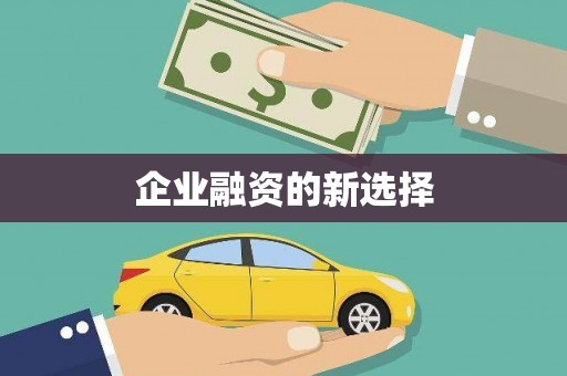 连云港企业融资的新选择