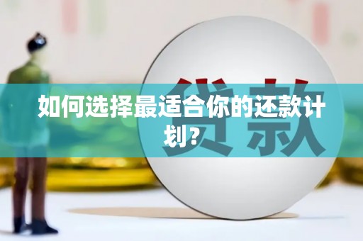 连云港如何选择最适合你的还款计划？