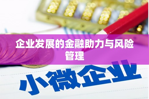 连云港企业发展的金融助力与风险管理