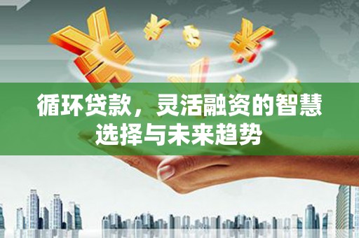连云港循环贷款，灵活融资的智慧选择与未来趋势