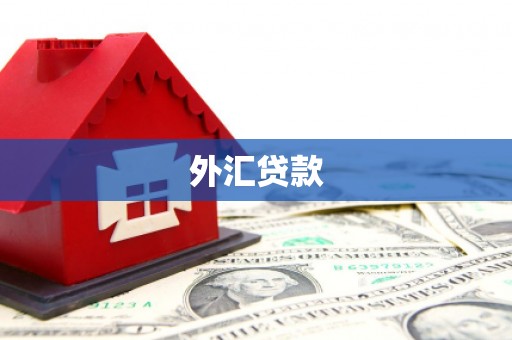 连云港外汇贷款