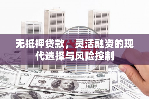 连云港无抵押贷款，灵活融资的现代选择与风险控制