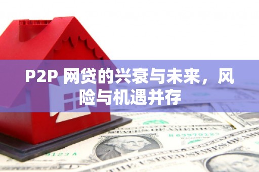 连云港P2P 网贷的兴衰与未来，风险与机遇并存