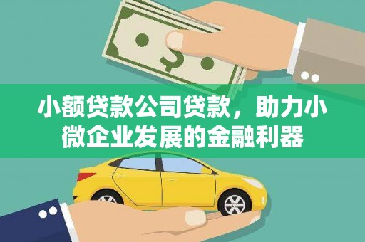 连云港小额贷款公司贷款，助力小微企业发展的金融利器