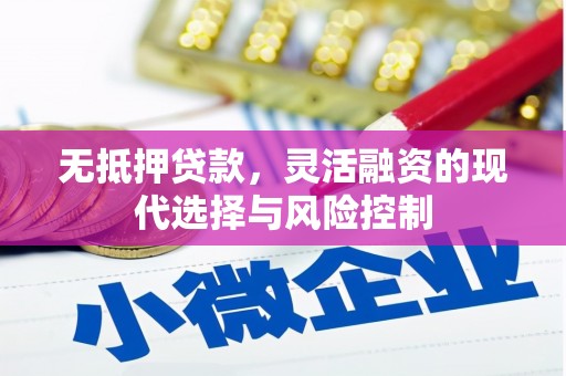 连云港无抵押贷款，灵活融资的现代选择与风险控制