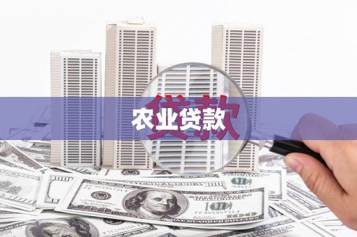 连云港农业贷款