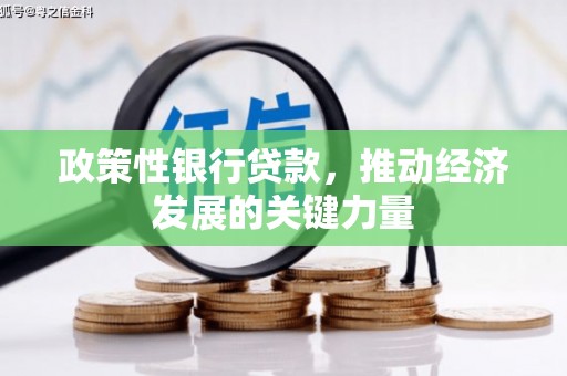 连云港政策性银行贷款，推动经济发展的关键力量