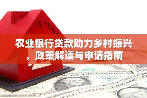 连云港农业银行贷款助力乡村振兴，政策解读与申请指南