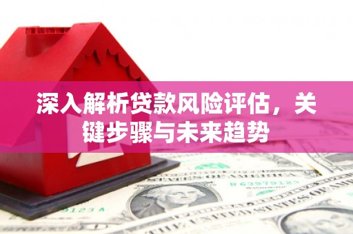 连云港深入解析贷款风险评估，关键步骤与未来趋势