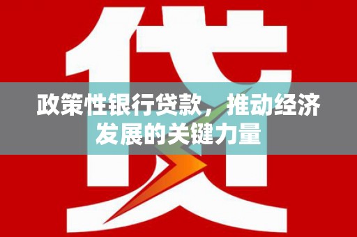 连云港政策性银行贷款，推动经济发展的关键力量