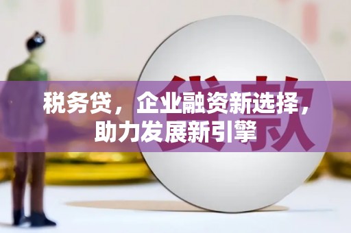 连云港税务贷，企业融资新选择，助力发展新引擎