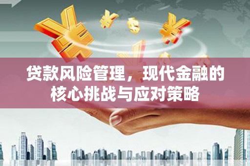 连云港贷款风险管理，现代金融的核心挑战与应对策略