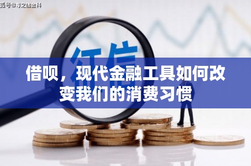 连云港借呗，现代金融工具如何改变我们的消费习惯