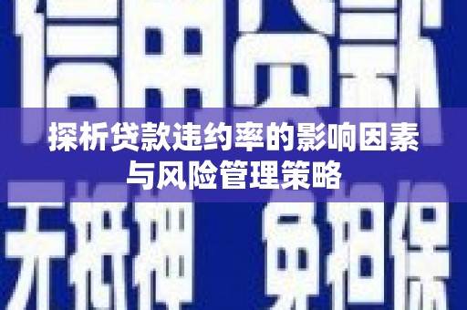 连云港探析贷款违约率的影响因素与风险管理策略