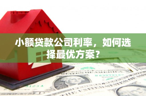 连云港小额贷款公司利率，如何选择最优方案？