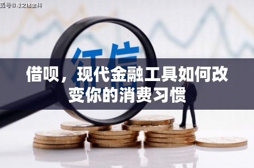 连云港借呗，现代金融工具如何改变你的消费习惯