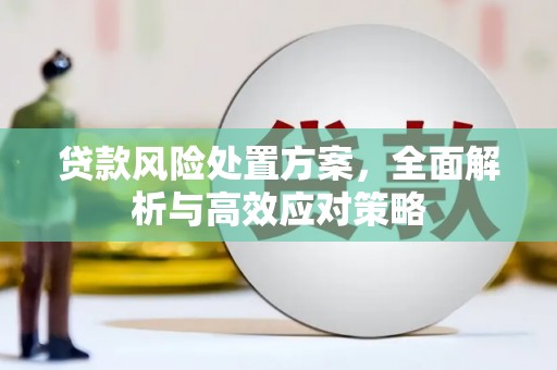 连云港贷款风险处置方案，全面解析与高效应对策略