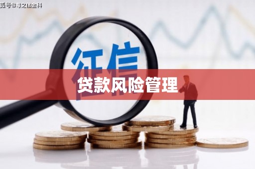 连云港贷款风险管理