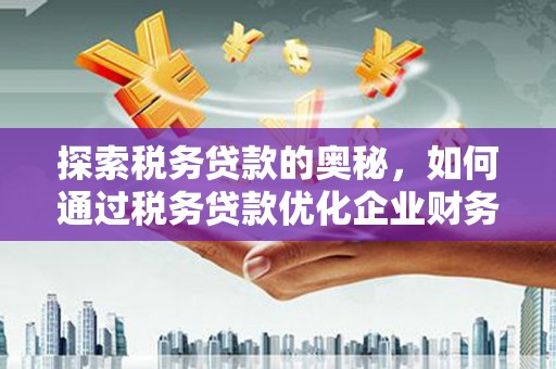 连云港探索税务贷款的奥秘，如何通过税务贷款优化企业财务