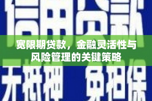 连云港宽限期贷款，金融灵活性与风险管理的关键策略