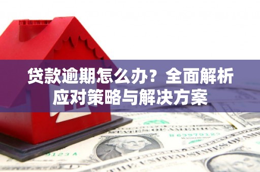 连云港贷款逾期怎么办？全面解析应对策略与解决方案