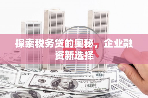 连云港探索税务贷的奥秘，企业融资新选择