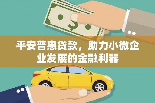 连云港平安普惠贷款，助力小微企业发展的金融利器