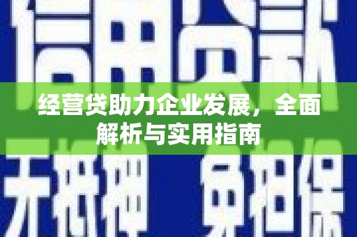 连云港经营贷助力企业发展，全面解析与实用指南