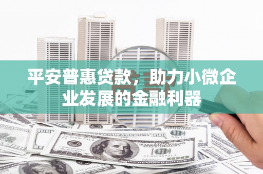 连云港平安普惠贷款，助力小微企业发展的金融利器