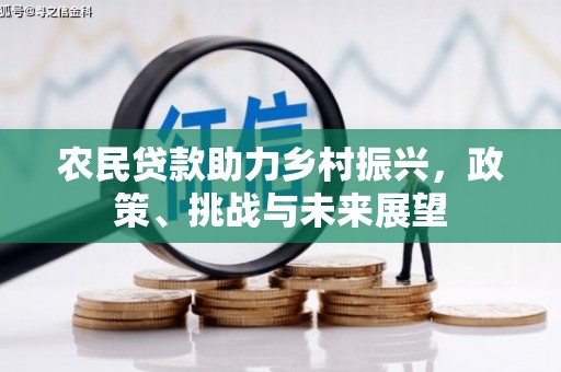 连云港农民贷款助力乡村振兴，政策、挑战与未来展望