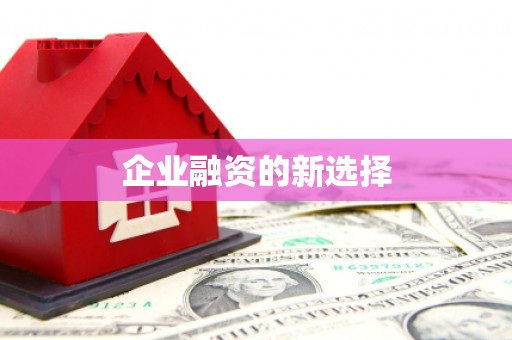 连云港企业融资的新选择