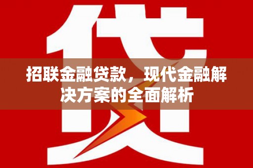 连云港招联金融贷款，现代金融解决方案的全面解析