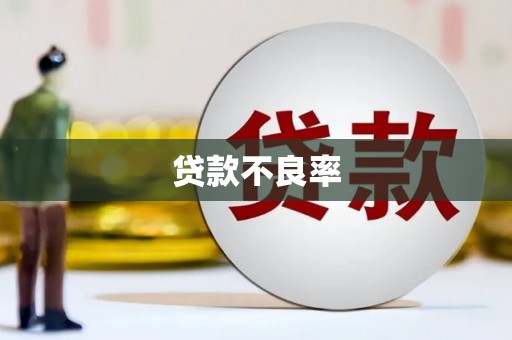 连云港贷款不良率