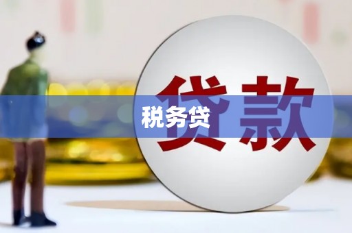 连云港税务贷