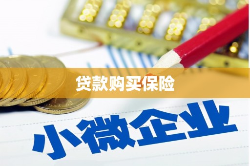 连云港贷款购买保险