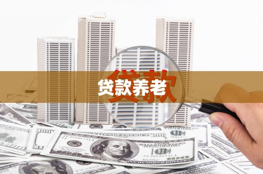 连云港贷款养老