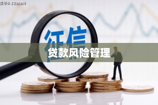 连云港贷款风险管理