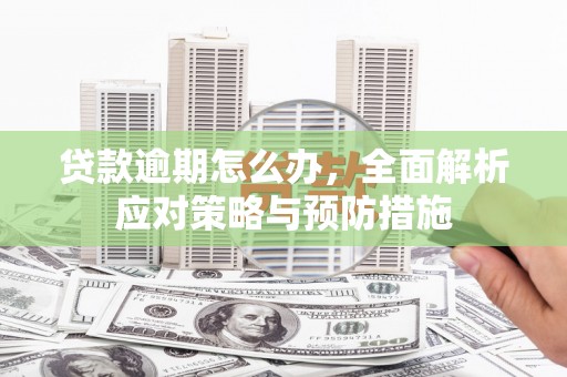 连云港贷款逾期怎么办，全面解析应对策略与预防措施