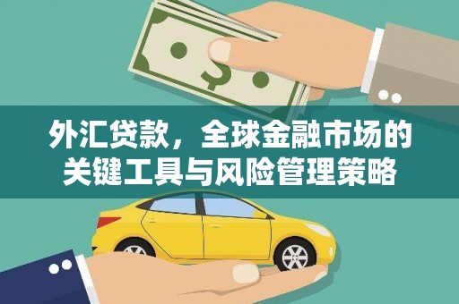 连云港外汇贷款，全球金融市场的关键工具与风险管理策略