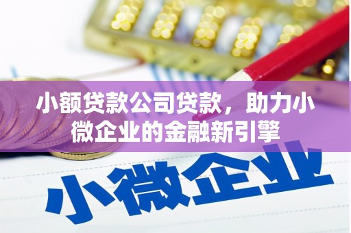 连云港小额贷款公司贷款，助力小微企业的金融新引擎
