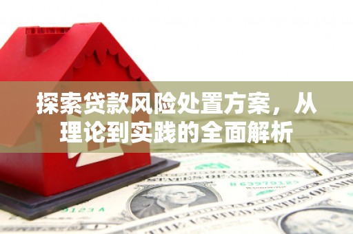 连云港探索贷款风险处置方案，从理论到实践的全面解析